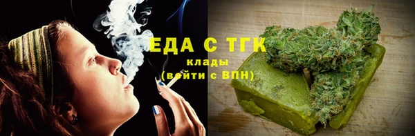 индика Елизово