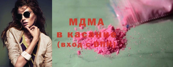 индика Елизово