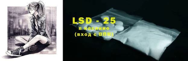 индика Елизово