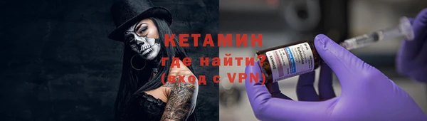 индика Елизово
