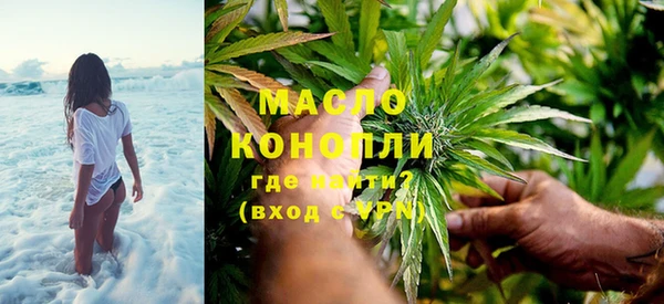 индика Елизово