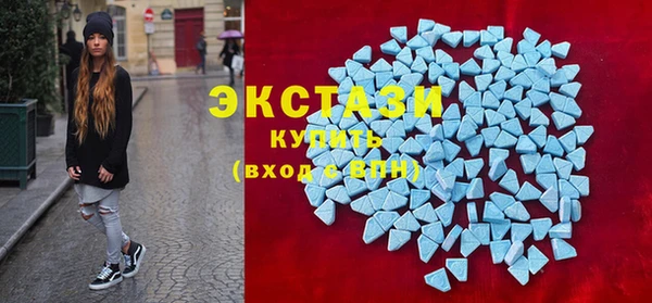 индика Елизово