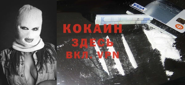 индика Елизово