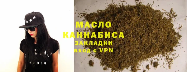 индика Елизово